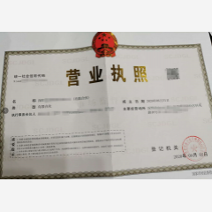 投資咨詢合伙企業(yè)